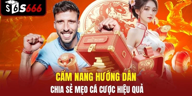 Cẩm nang hướng dẫn chia sẻ mẹo cá cược hiệu quả