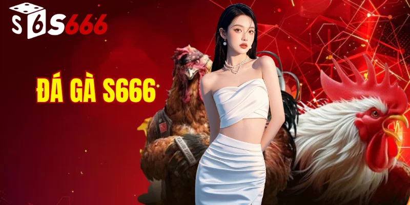 đá gà s666