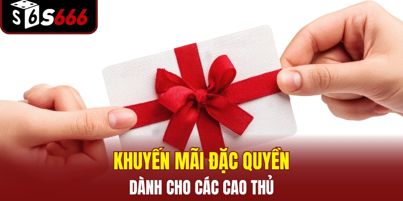 Khuyến mãi VIP đặc quyền cho các cao thủ